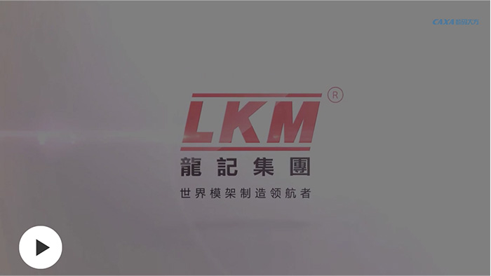 龙记